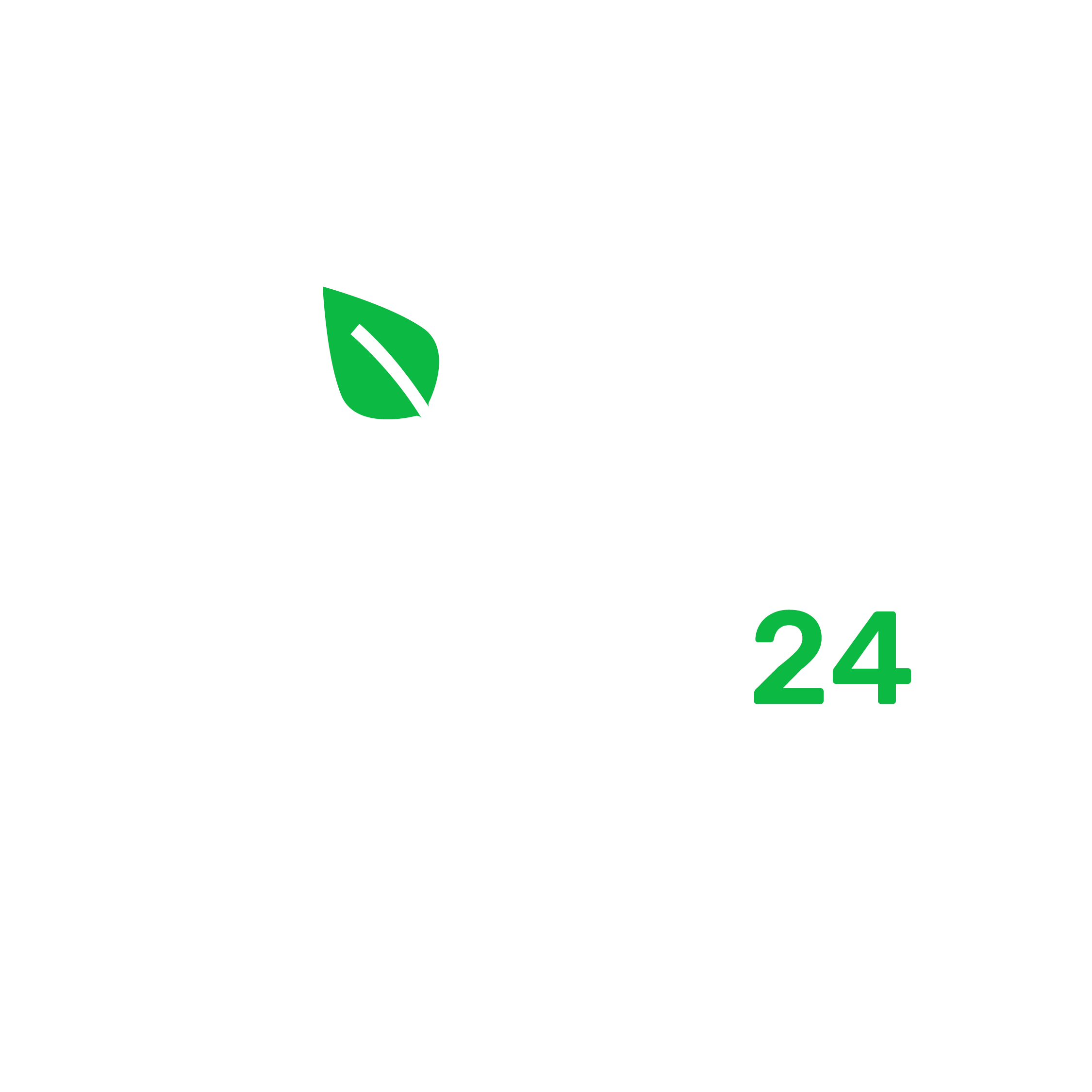logo_EcoDrive24_green-white